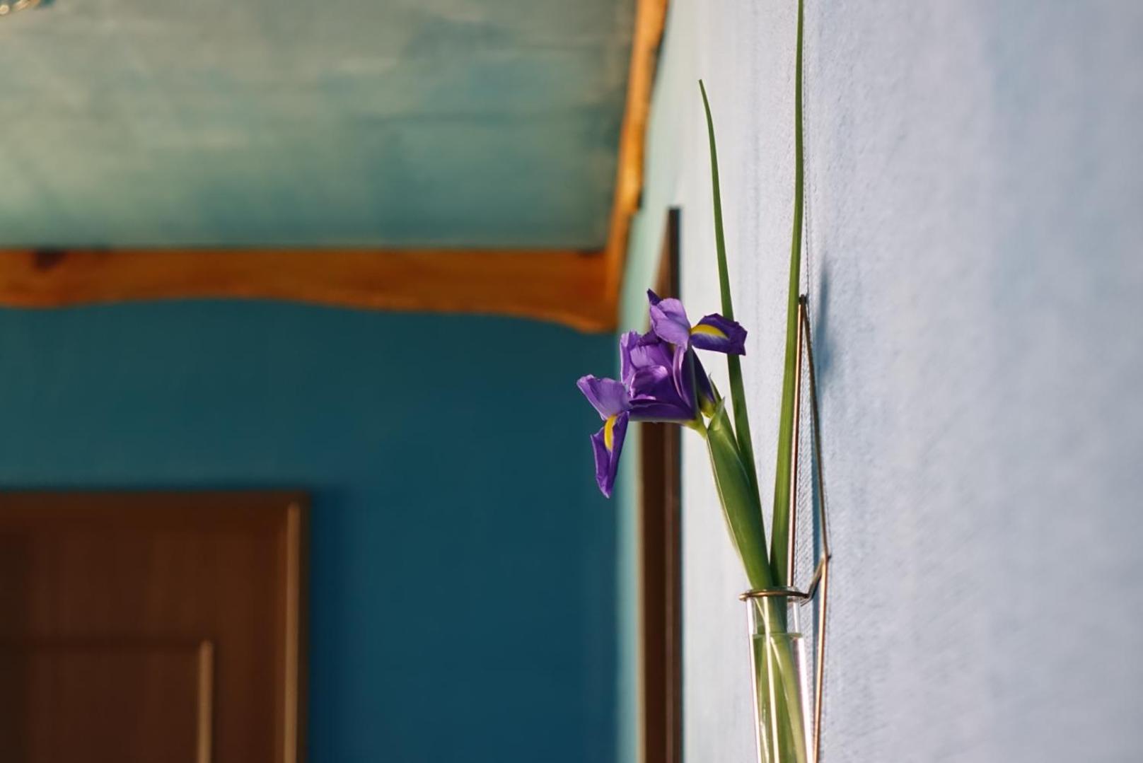 Lodge Mondo Nishiizu Dış mekan fotoğraf